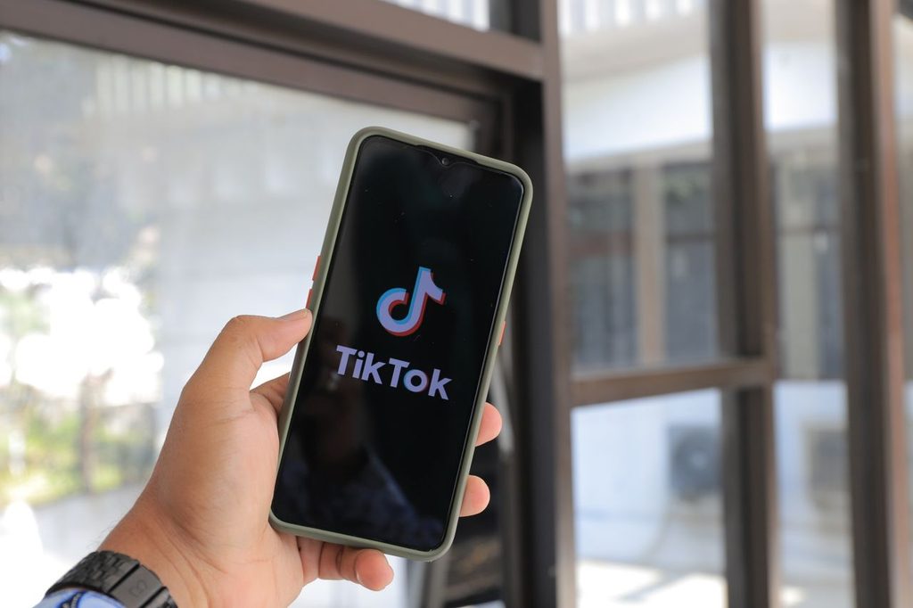 Salvar Vídeos do TikTok 